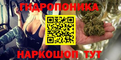 ALPHA PVP Кимры