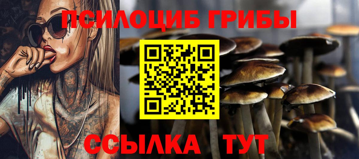 МЕФ Кушва