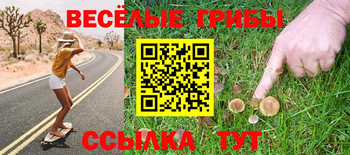 Псилоцибиновые грибы GOLDEN TEACHER Кушва